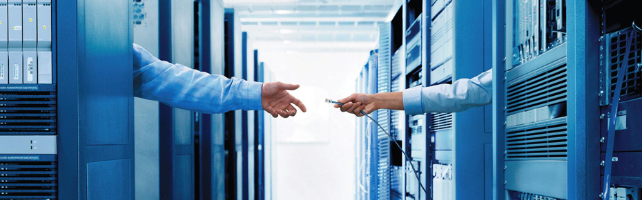 White peafowl : Javascript Slideshow